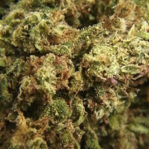 AFGHAN KUSH