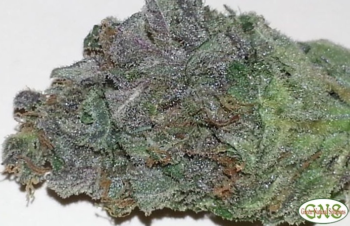 BANANA KUSH