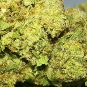 BLUEBERRY