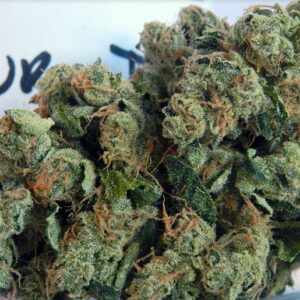 Chemdawg (Hybrid)