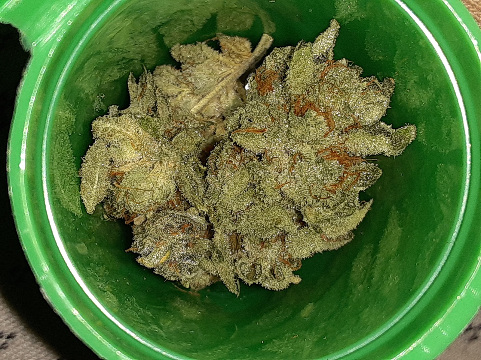 DOSI DOS