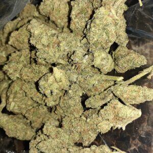 GMO COOKIES