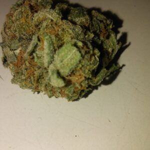 Gorilla Glue (Hybrid)