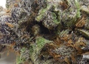 GRAND DADDY PURPLE