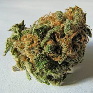 Grape skittles (Hybrid)