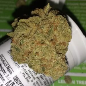 GRAPE STOMPER