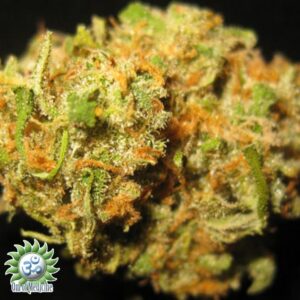 GREEN CRACK