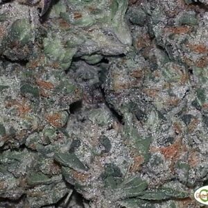 LEMON HAZE