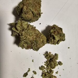 PINEAPPLE SKUNK