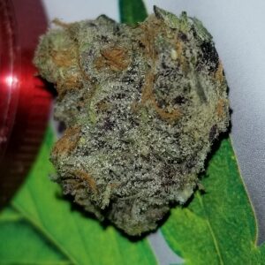 PURPLE PUNCH