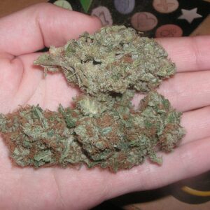 Skywalker Og (Indica)