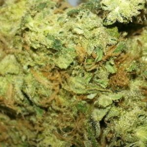 SOUR DIESEL