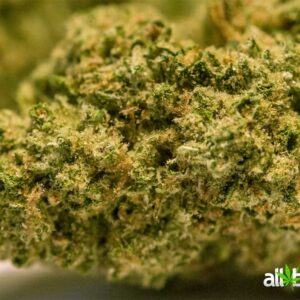 SUPER SILVER HAZE