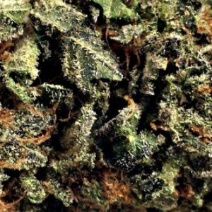 WHITE RUSSIAN